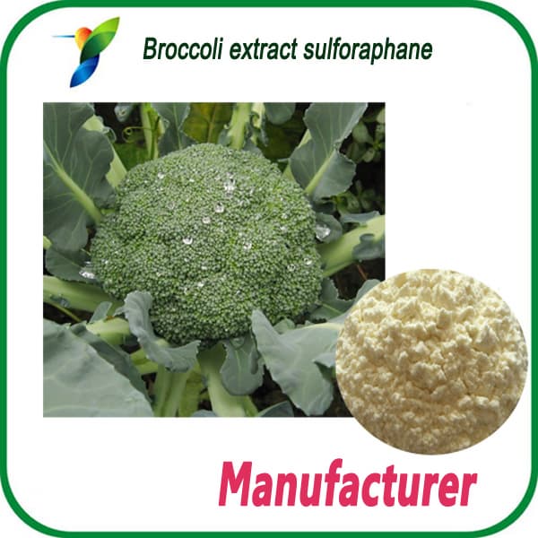 Broccoli seed extract sulforaphane 1_